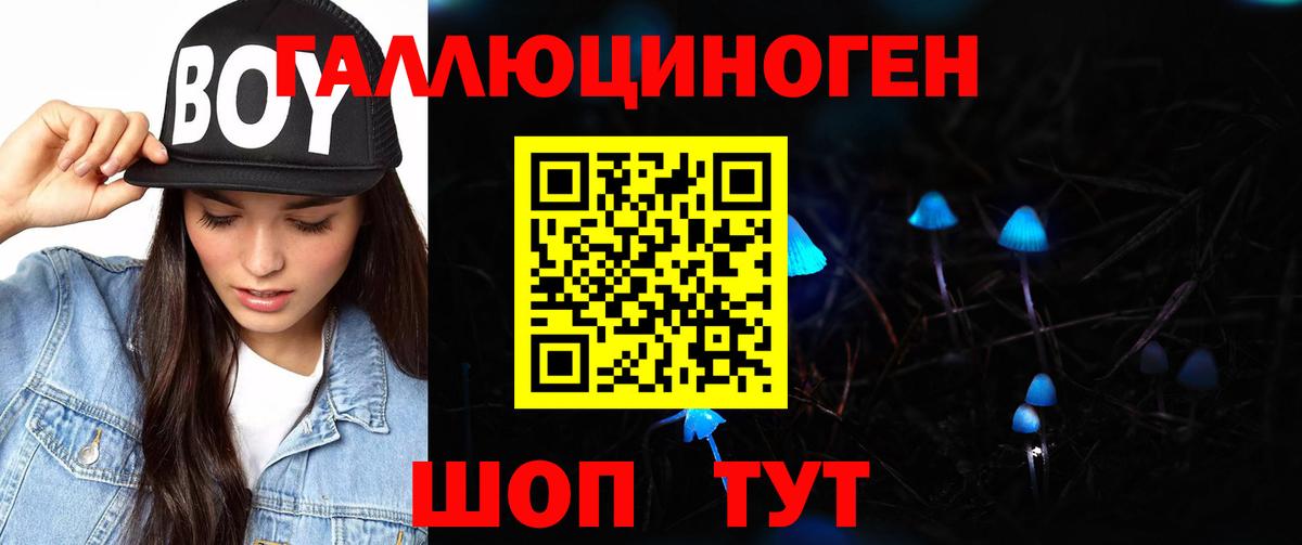 Галлюциногенные грибы Cubensis  Вход с VPN  что такое   Петропавловск-Камчатский  Псилоцибиновые грибы Cubensis 